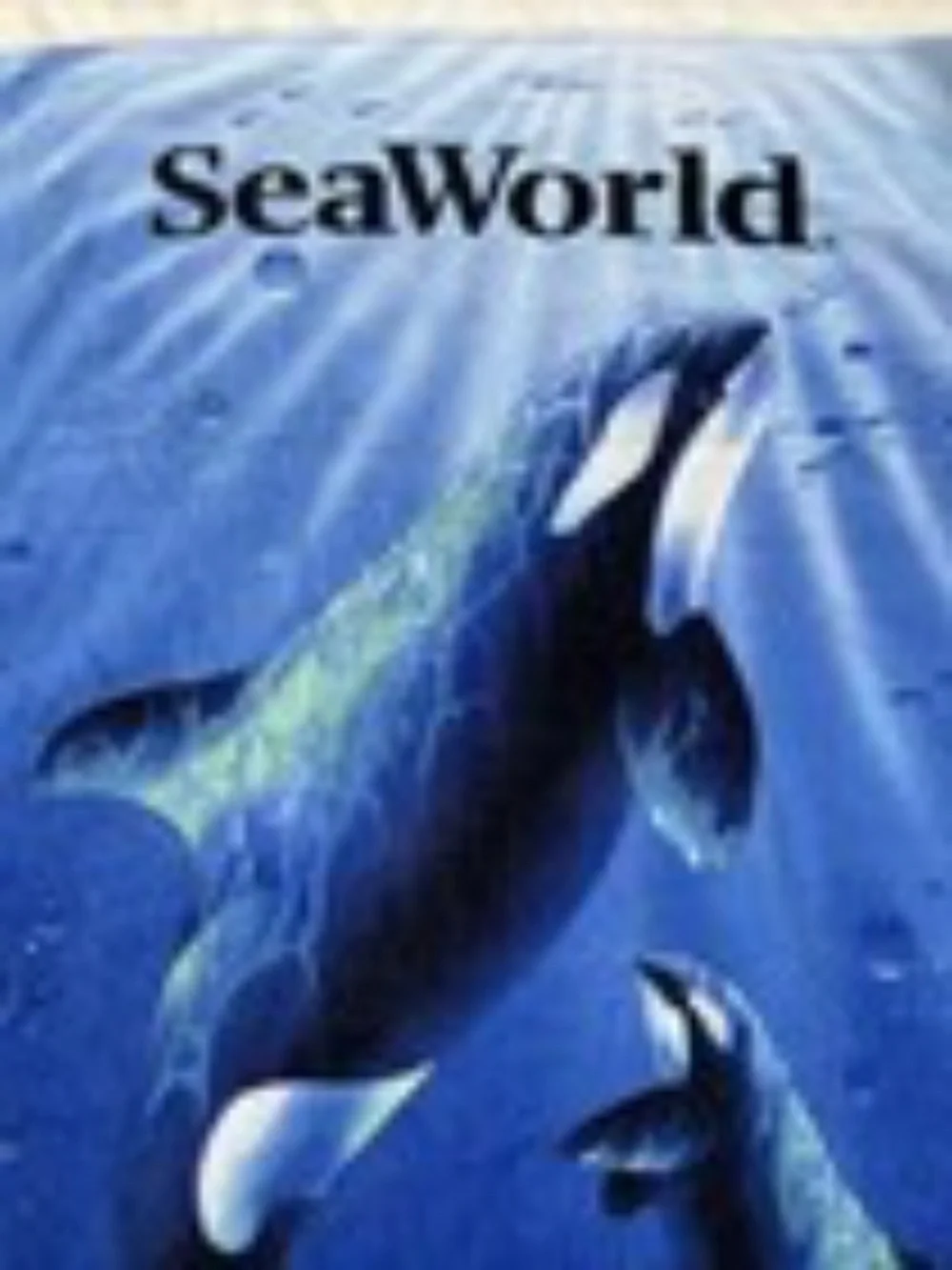 SeaWorld Beach Bath Towel Shamu Orca Whales 100% Cotton 54